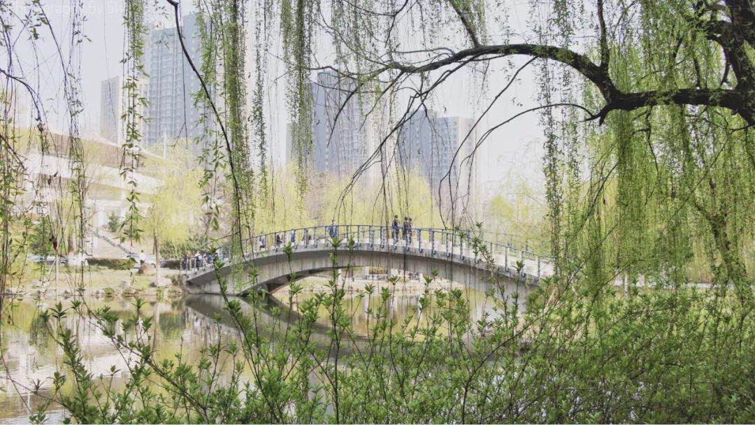 河海 MEM 校友分享——做一束有信念的光